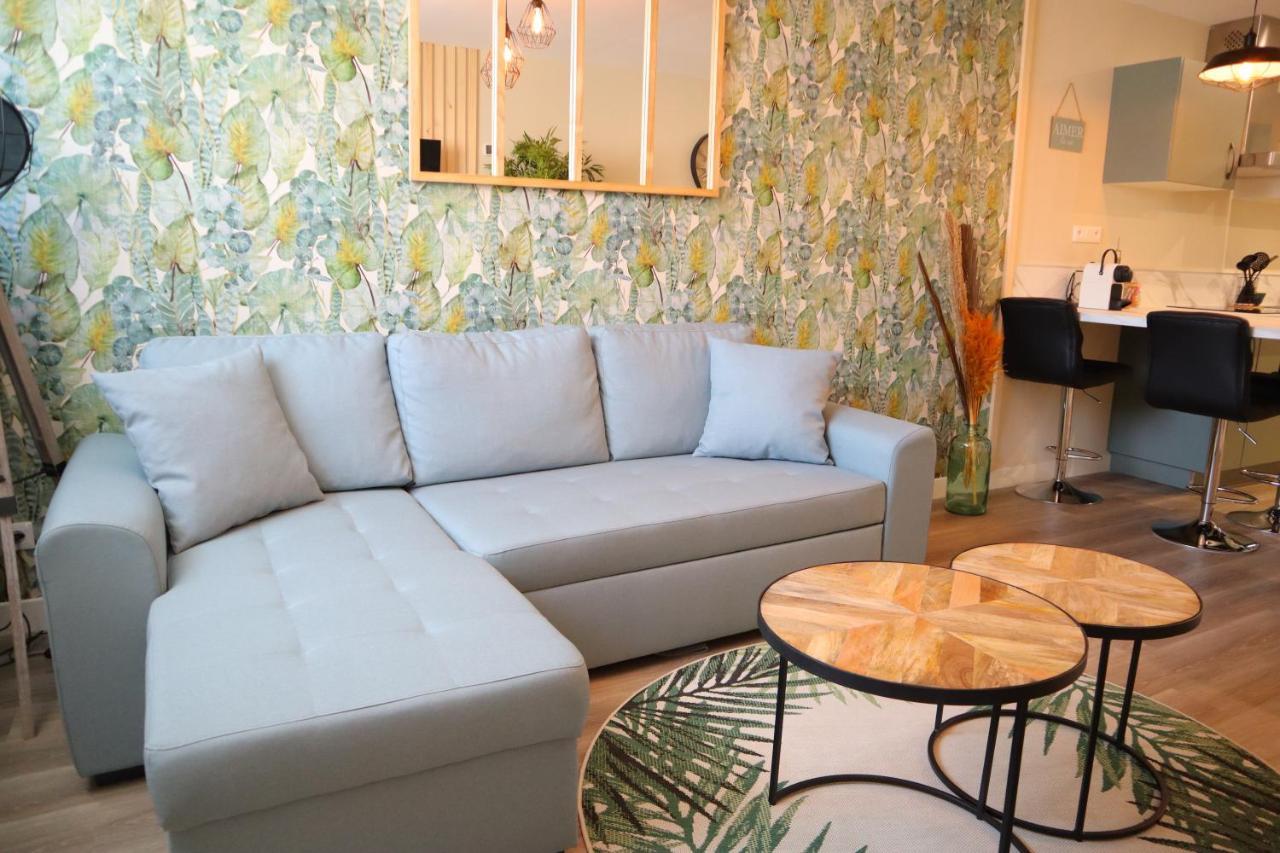 Appartement 1 Chambre Ambiance Tropicale - Centre De Bourbourg, Terrasse Privee ブルブール エクステリア 写真